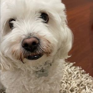 Meet your Posher, Sonya